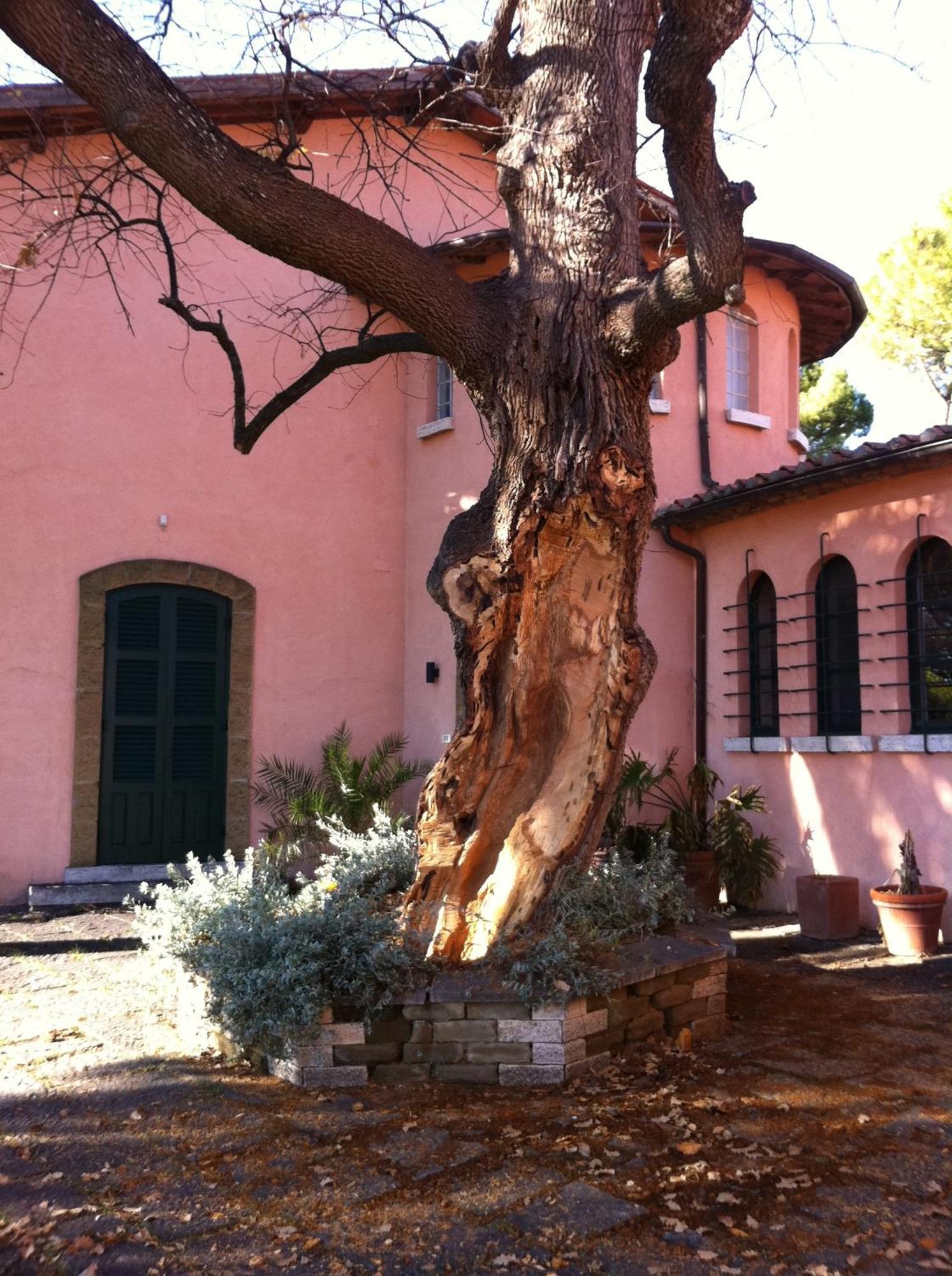 Villa Acquaviva Wine Resort Montemerano Exteriör bild
