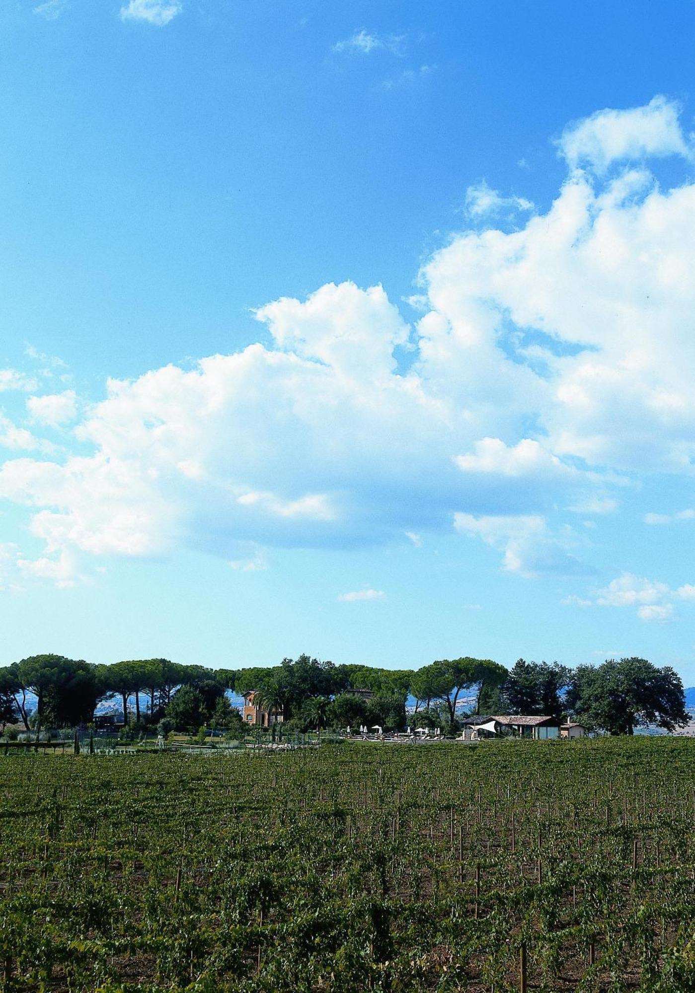 Villa Acquaviva Wine Resort Montemerano Exteriör bild