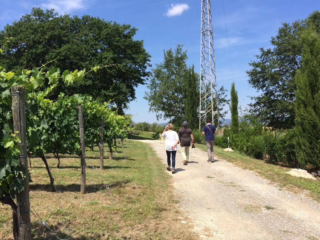 Villa Acquaviva Wine Resort Montemerano Exteriör bild