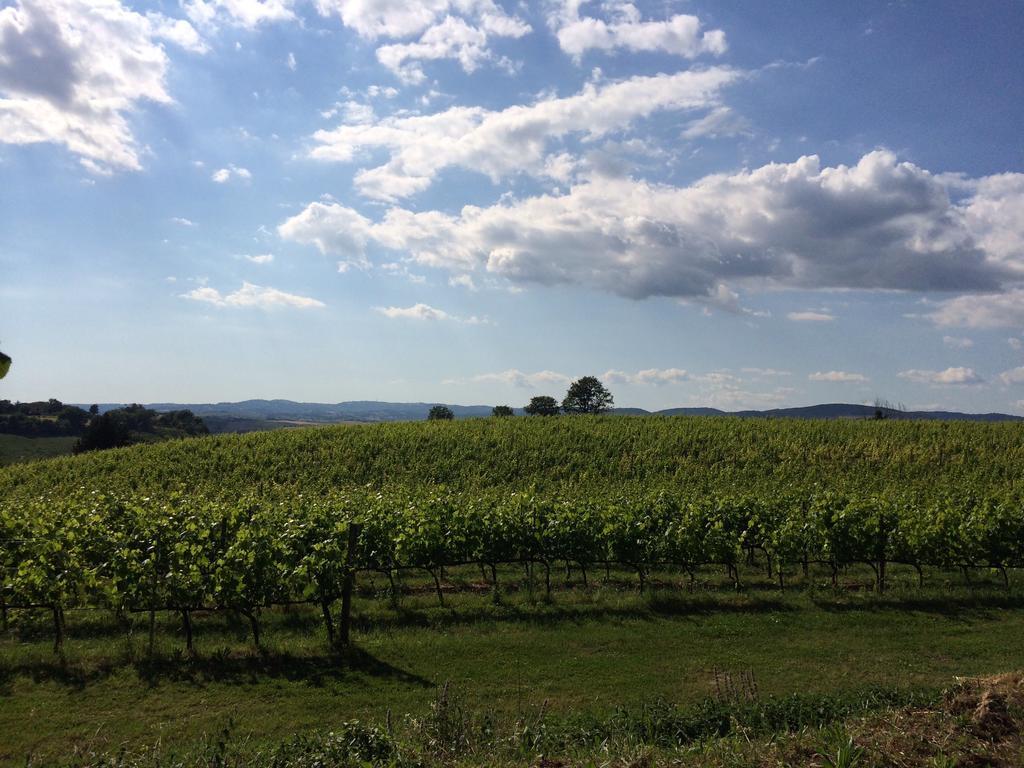 Villa Acquaviva Wine Resort Montemerano Exteriör bild