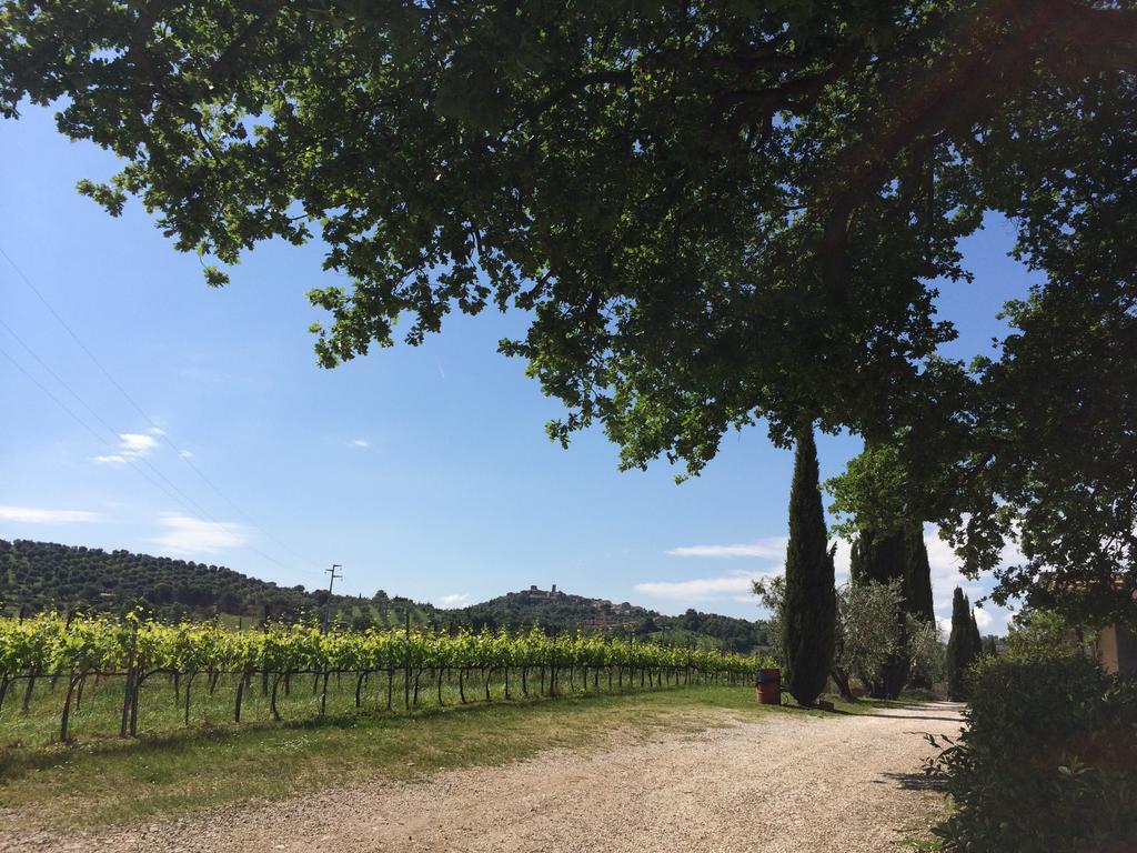 Villa Acquaviva Wine Resort Montemerano Exteriör bild